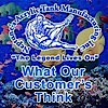 Neptunesacrylictanks's logo Neptunesacrylictanks's Company logo