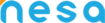 Ceek's Competitor - Nesa logo