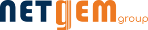 Netgem's logo Netgem's Company logo