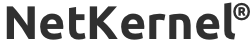NetKernel