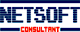 Netsoft Consultant