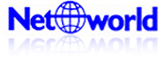 Networldinc's logo Networldinc's Company logo