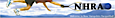 New Hampshire Racquetball Association