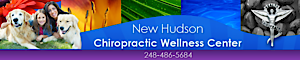 New Hudson Chiropractic Wellness Center