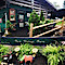 New Vintage Farm