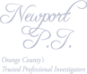 Newport Pi's logo Newport Pi's Company logo
