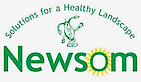 Newsom Seed