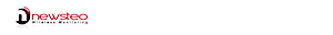 Newsteo's logo Newsteo's Company logo