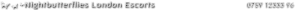 Nightbutterflies's logo Nightbutterflies's Company logo