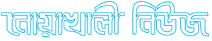 Noakhalinews24's logo Noakhalinews24's Company logo