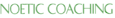 Werner Business Group's Competitor - Noetic Coaching logo