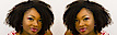 Hair Attitudes's Competitor - Austinhairbraiding logo