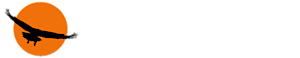Noosagoals's logo Noosagoals's Company logo