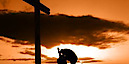 Noteworthy Christian Music's logo Noteworthy Christian Music's Company logo