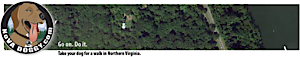 Nova Doggy's logo Nova Doggy's Company logo