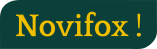 Novifox's logo Novifox's Company logo