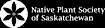 Evergreen's Competitor - NPSS logo