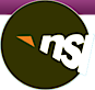 Nsi Intonline's logo Nsi Intonline's Company logo