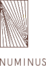Numinus