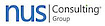 NUS Consulting