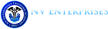 Nv Enterprises Training Academy