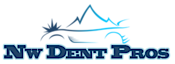 Nw Dent Pros (Paintless Dent Removal)