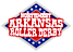 Nwa Roller Derby
