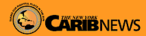 NY Carib News's logo NY Carib News's Company logo
