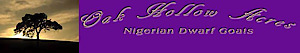 Oak Hollow Acres's logo Oak Hollow Acres's Company logo