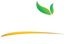 How do you lose belly fat in 2 weeks picture 5