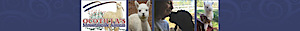 Ocotillasmtnalpacas's logo Ocotillasmtnalpacas's Company logo
