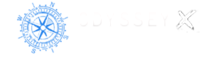Odyssey X's logo Odyssey X's Company logo