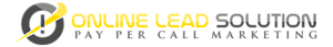 Online Lead Solution's logo Online Lead Solution's Company logo