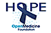 Open Medicine Foundation