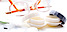 Optometrist Orlando