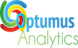 Optumus Analytics