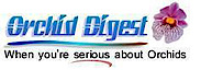 Orchiddigest