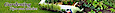Organic Vegetable Garden Ideas For Indoor