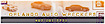 Woman Driver Blog's Competitor - Orlando Junk Auto Wreckers logo