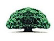 Oromo Community Of Minnesota's logo Oromo Community Of Minnesota's Company logo