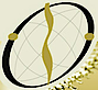 Orthopaedic and Spine Institute