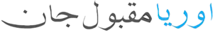 Orya Maqbool Jan's logo Orya Maqbool Jan's Company logo
