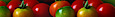 Owens Valley Edible Gardens