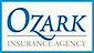 Ozark South Central Insur Agcy
