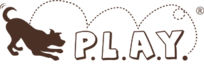 P.L.A.Y.