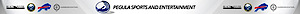 Psentertainment's logo Psentertainment's Company logo