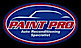 Paint Pro Automotive Reconditioning