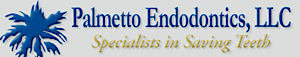 Palmetto Endodontics's logo Palmetto Endodontics's Company logo