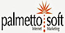 Palmettosoft's company profile
