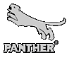 Panther GmbH's logo Panther GmbH's Company logo